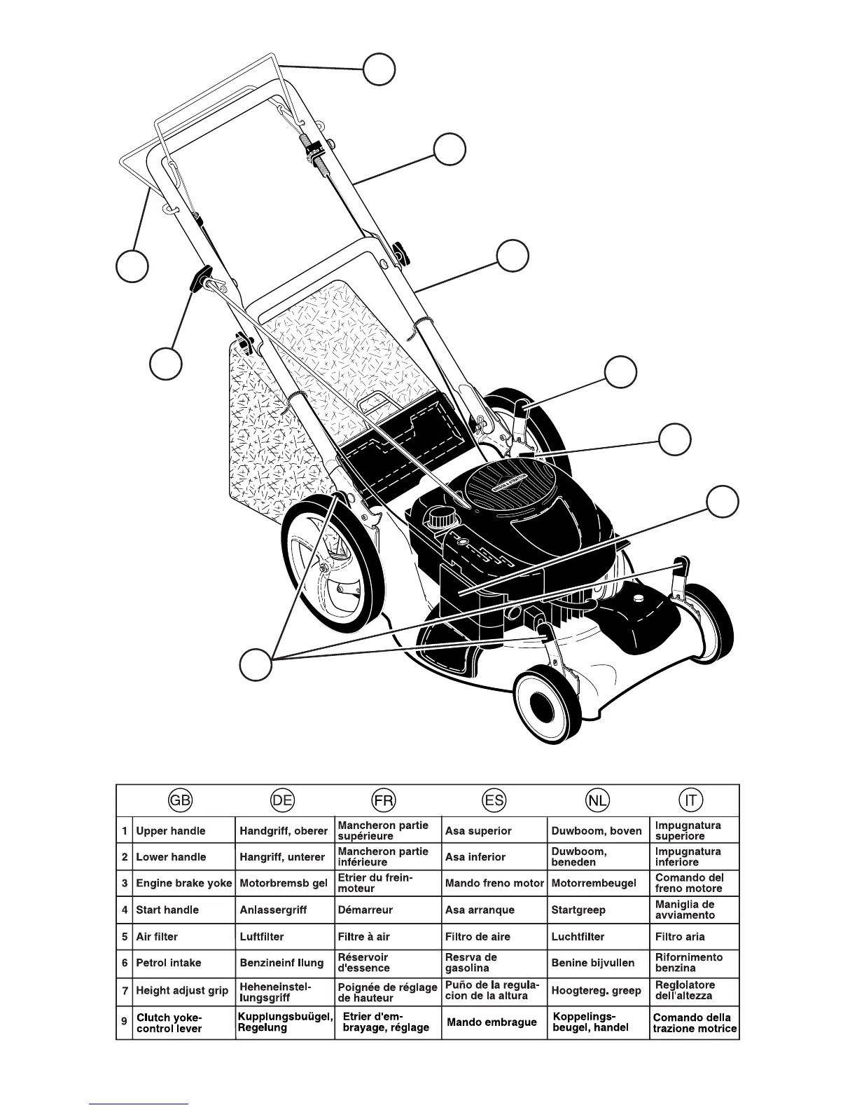 Page #10 background image