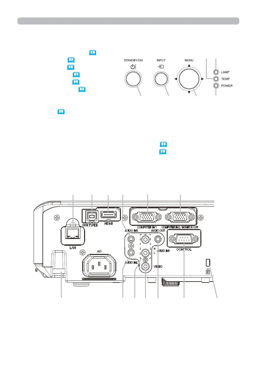 Page #5 background image