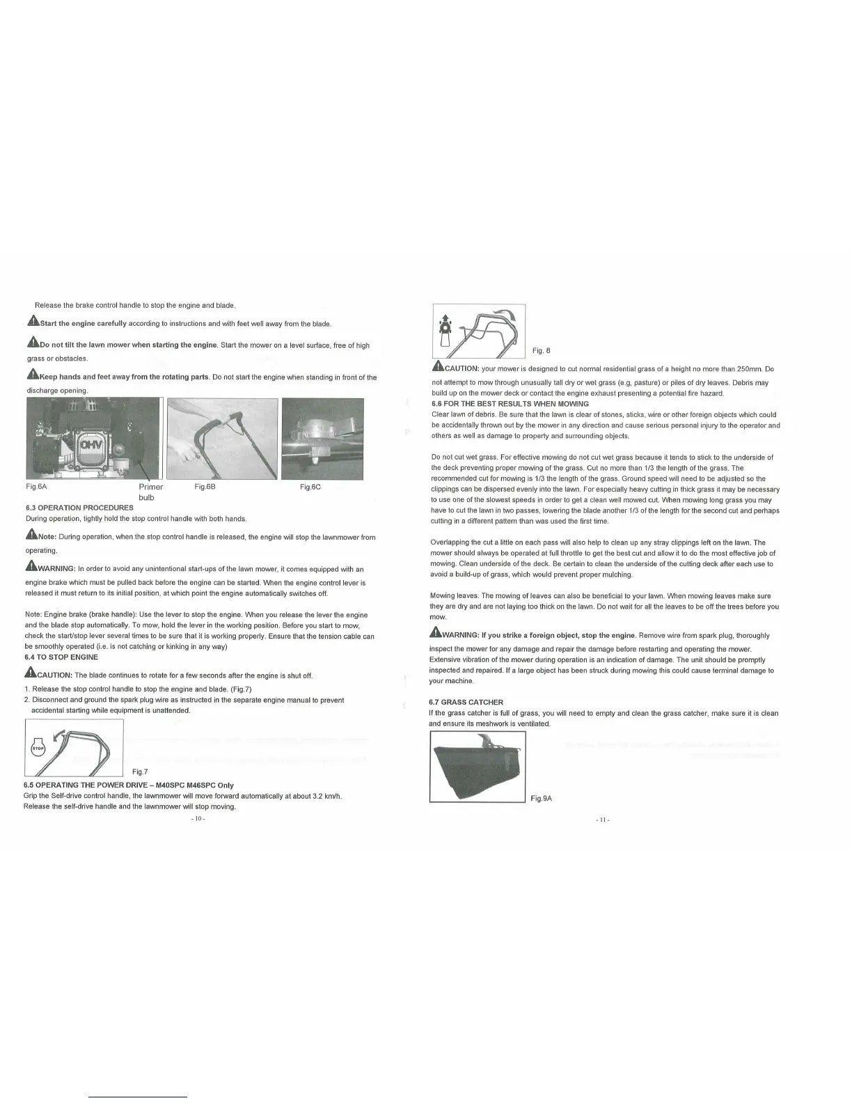 Page #10 background image