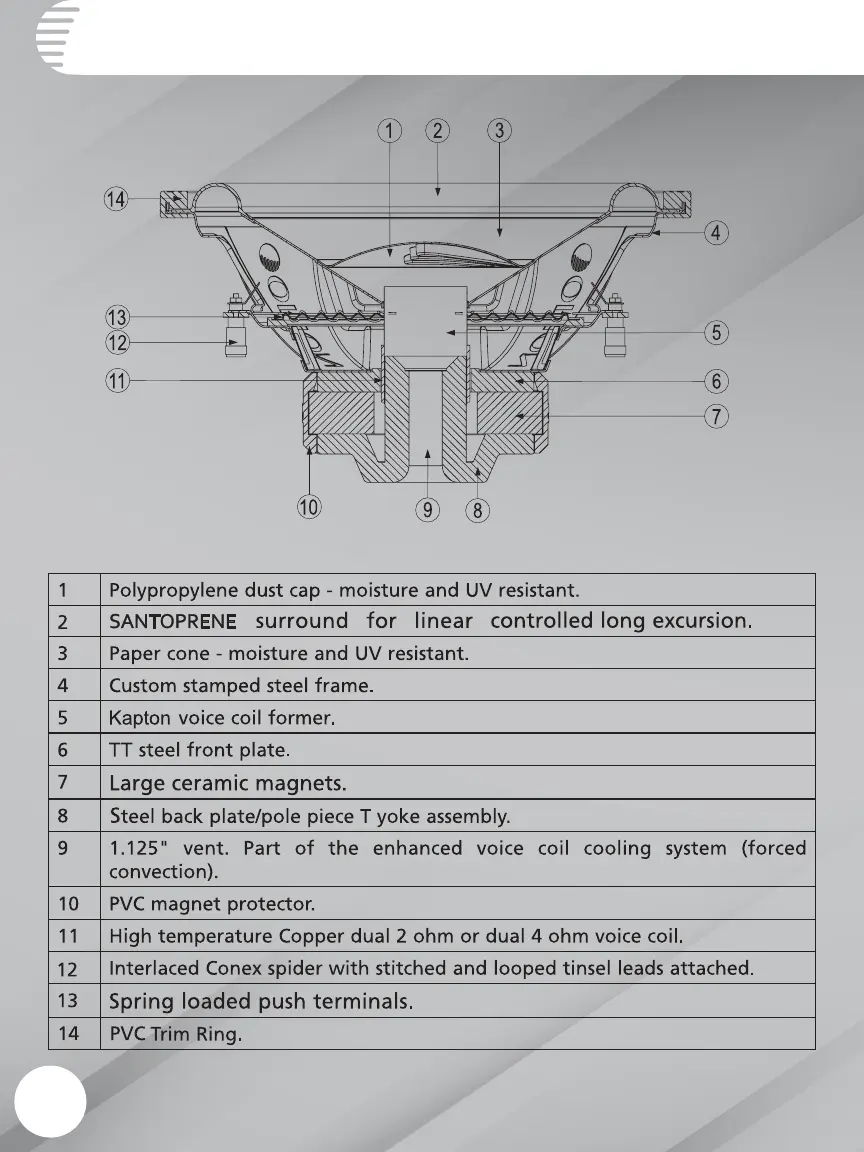 Page #4 background image