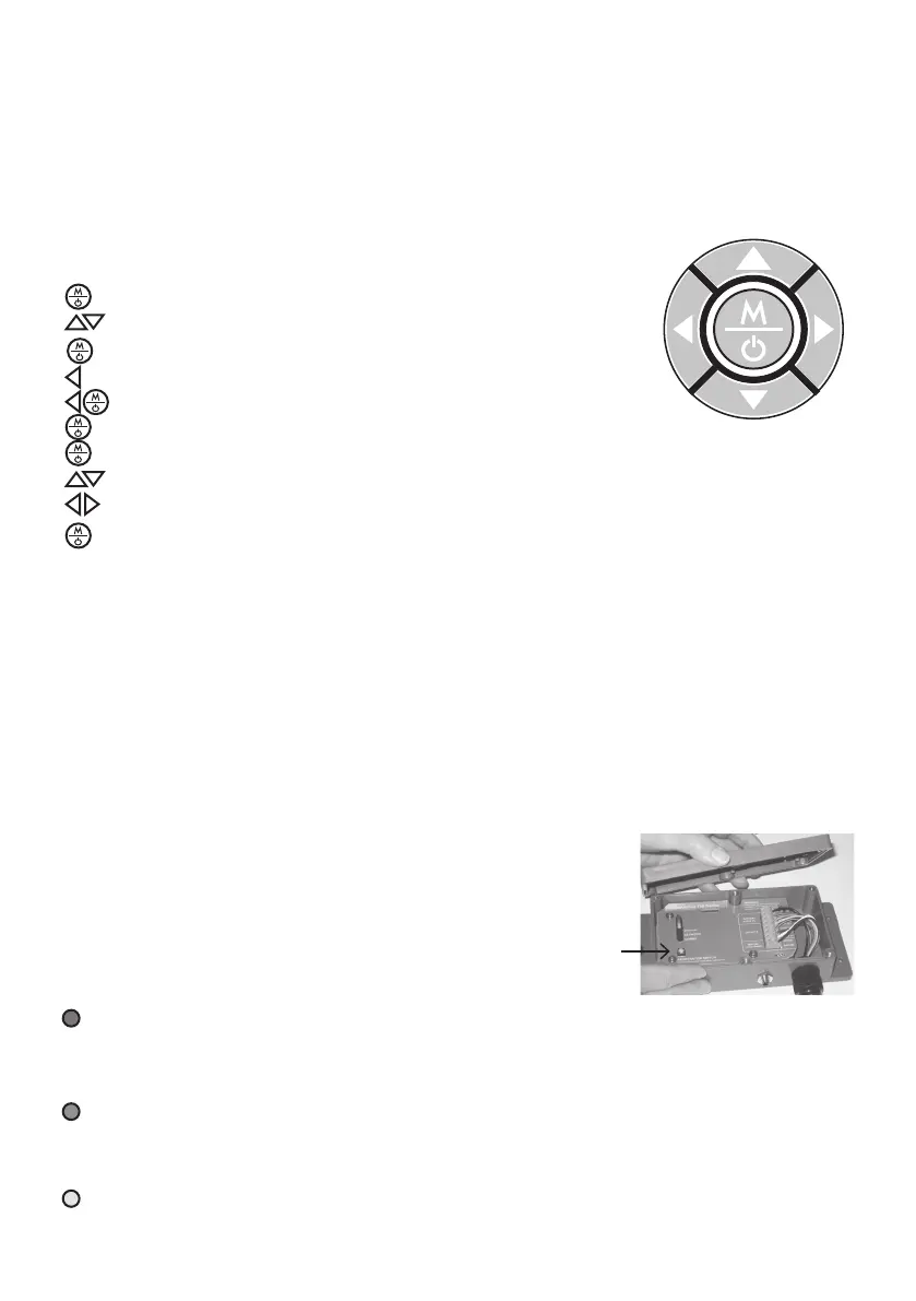 Page #19 background image