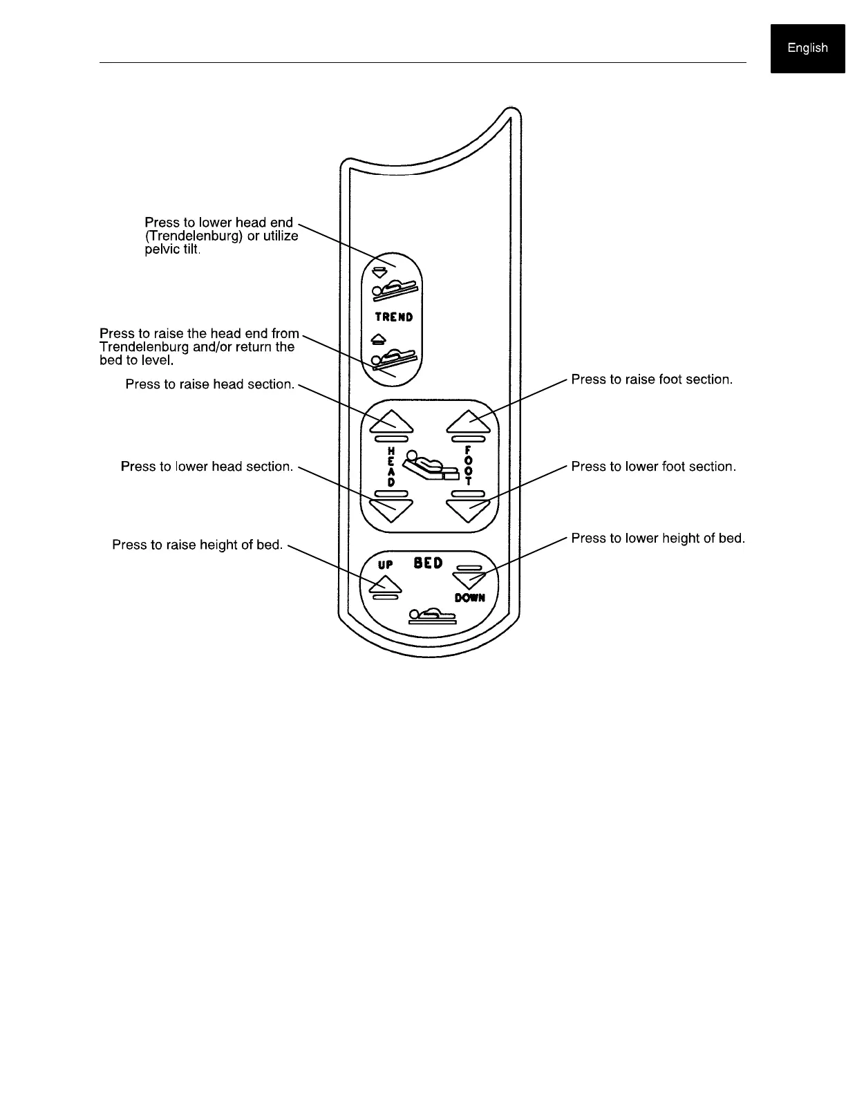 Page #19 background image