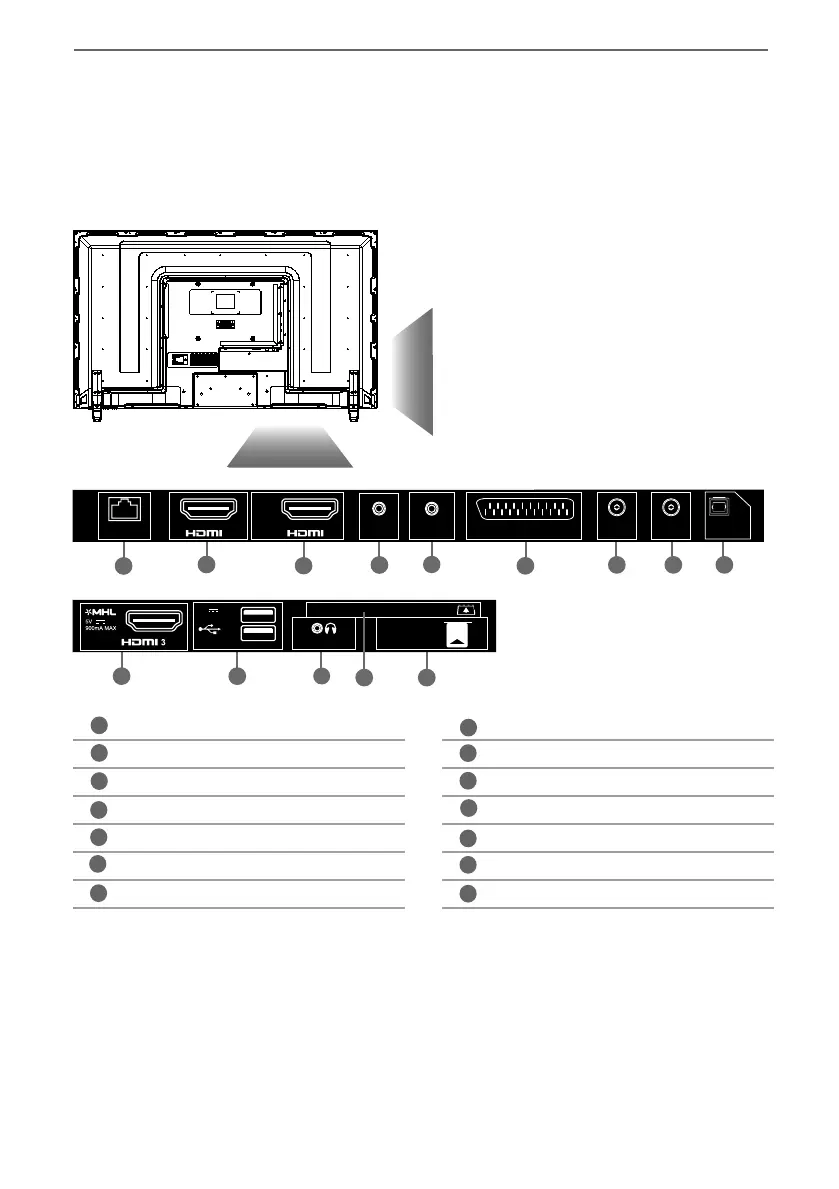 Page #13 background image