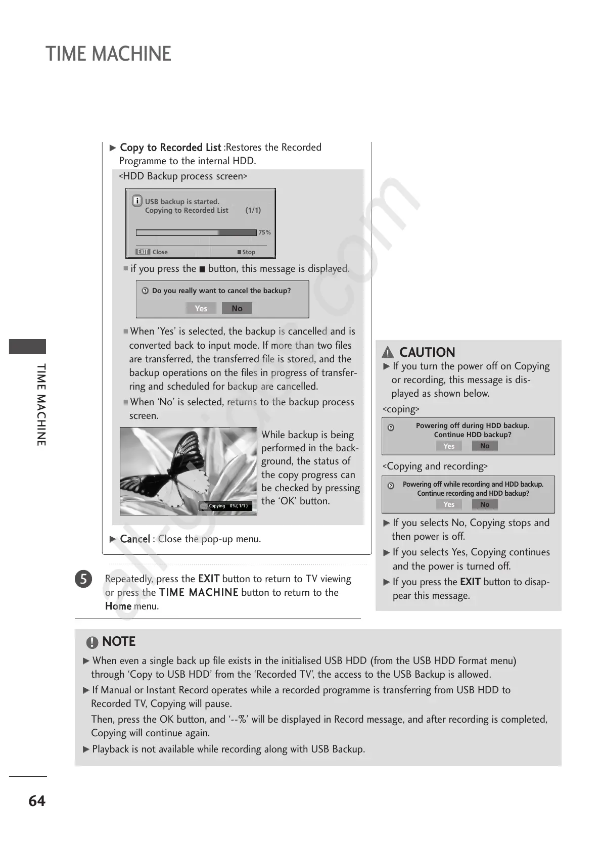 Page #66 background image