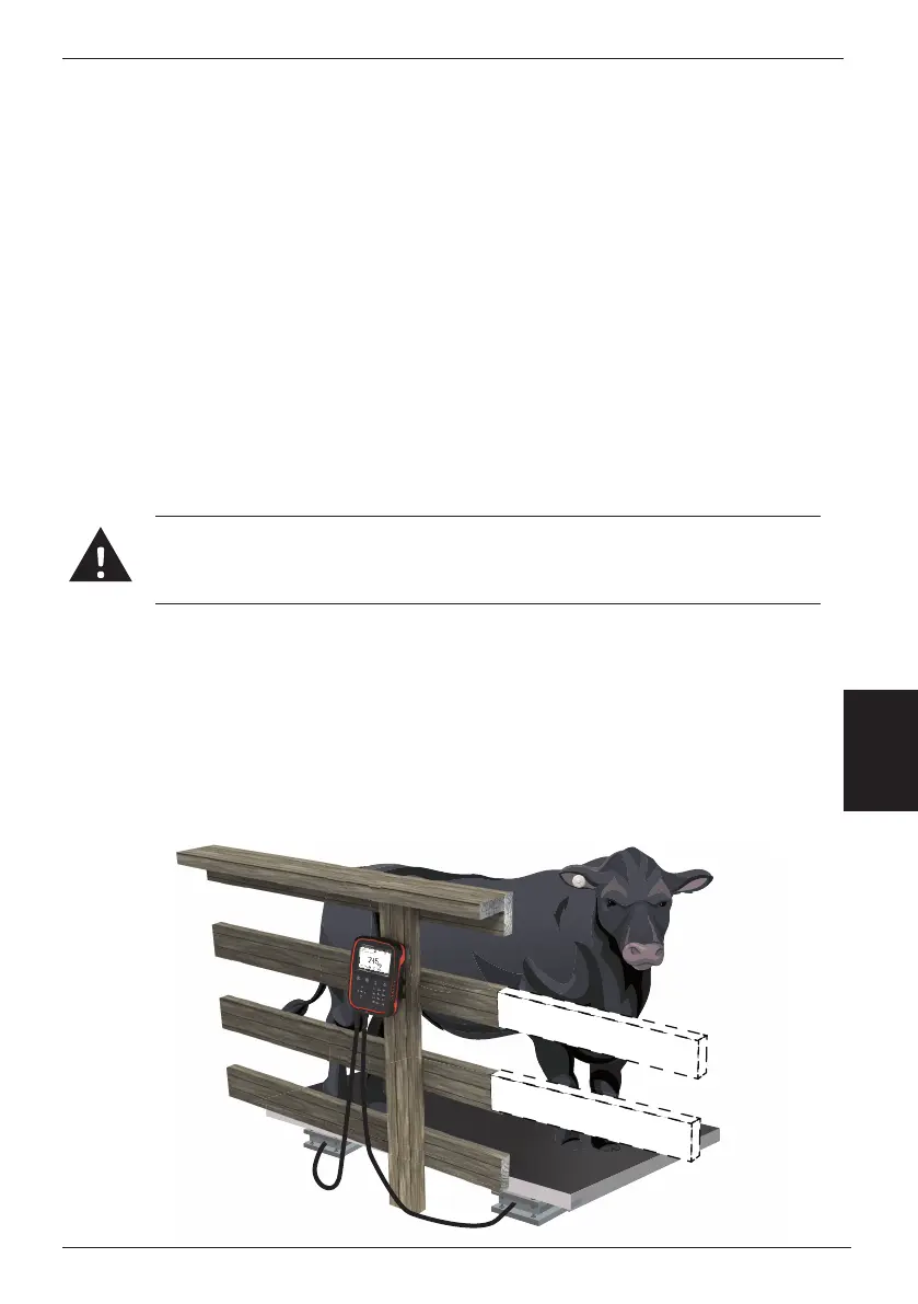 Page #85 background image