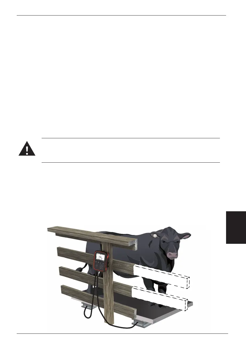 Page #99 background image