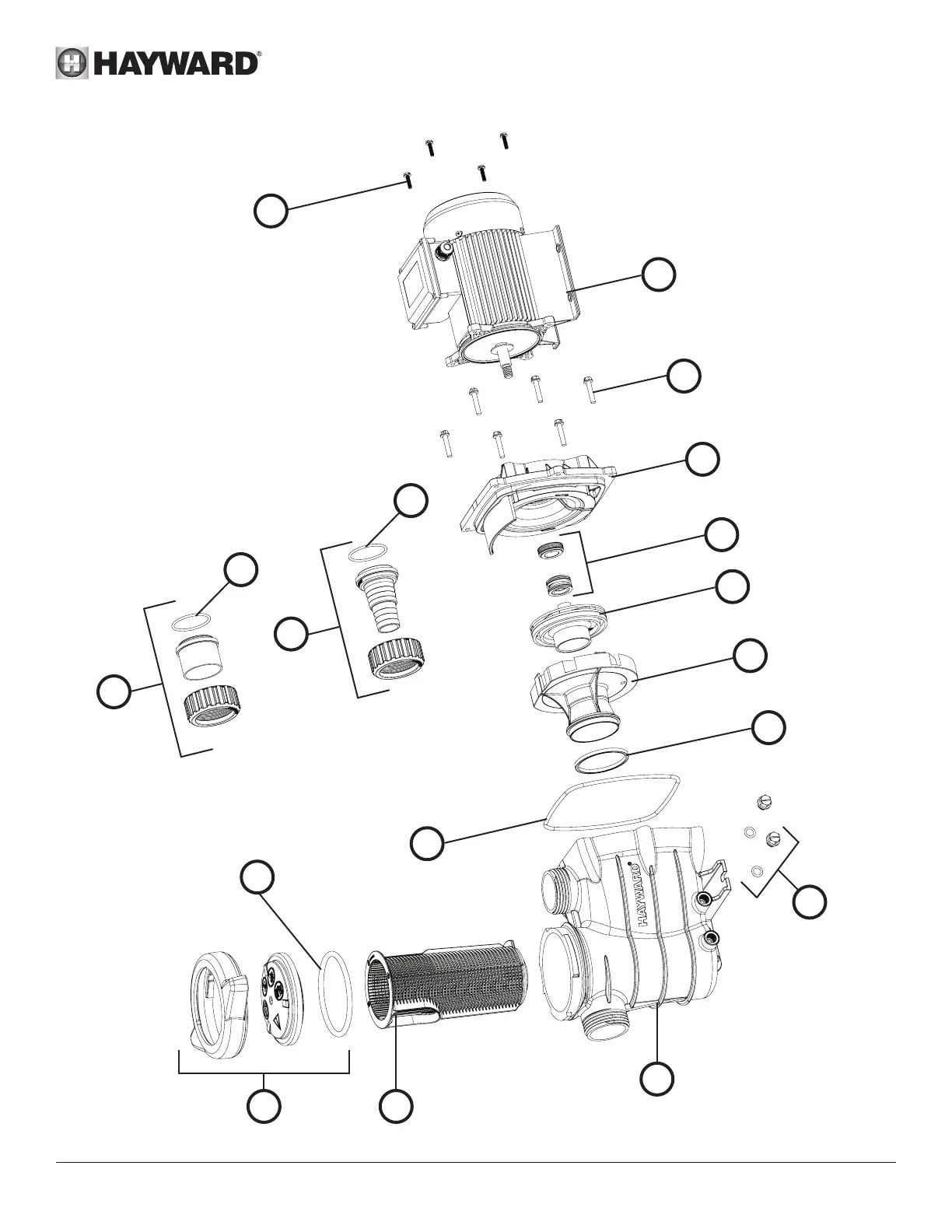 Page #7 background image