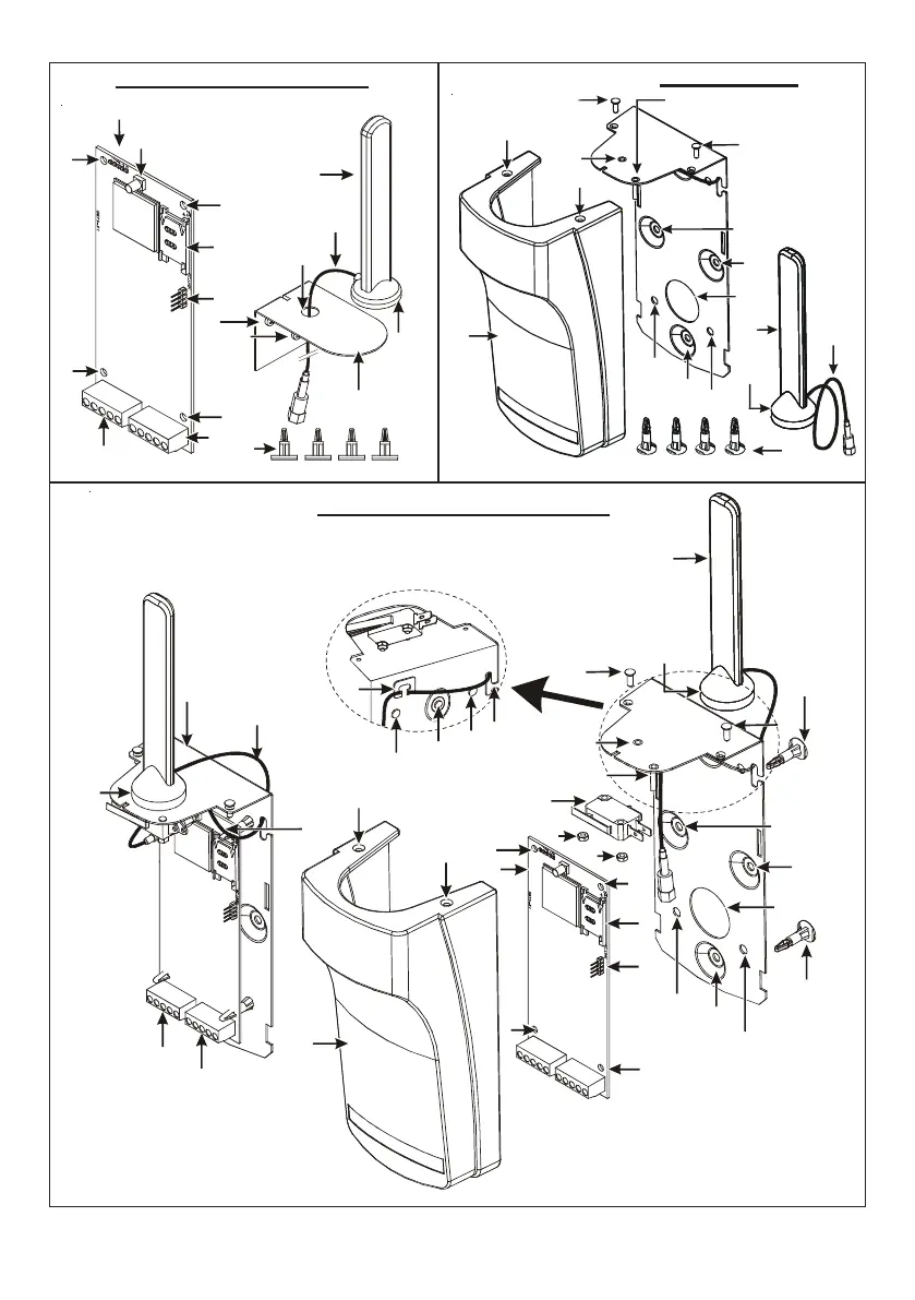 Page #3 background image