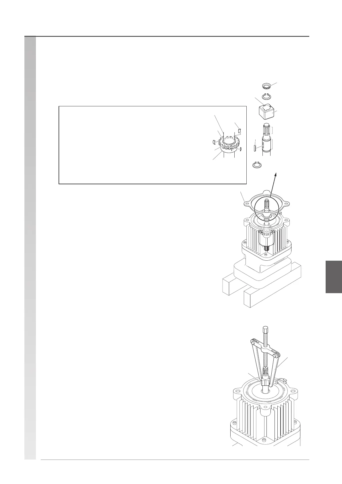 Page #21 background image