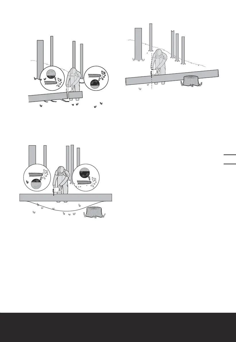 Page #59 background image