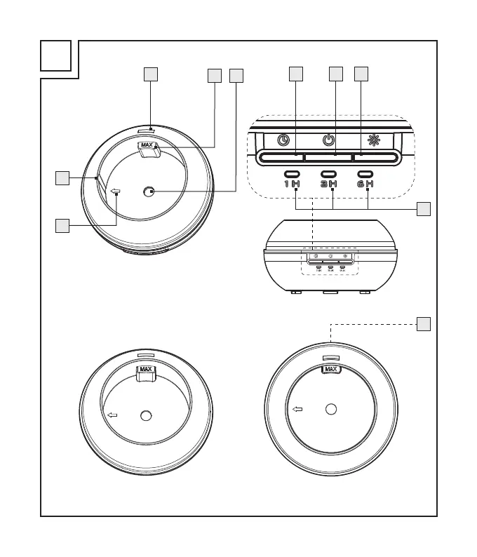 Page #8 background image