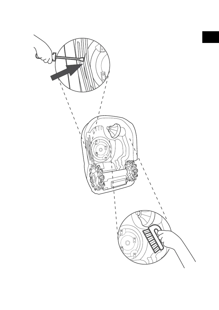 Page #7 background image