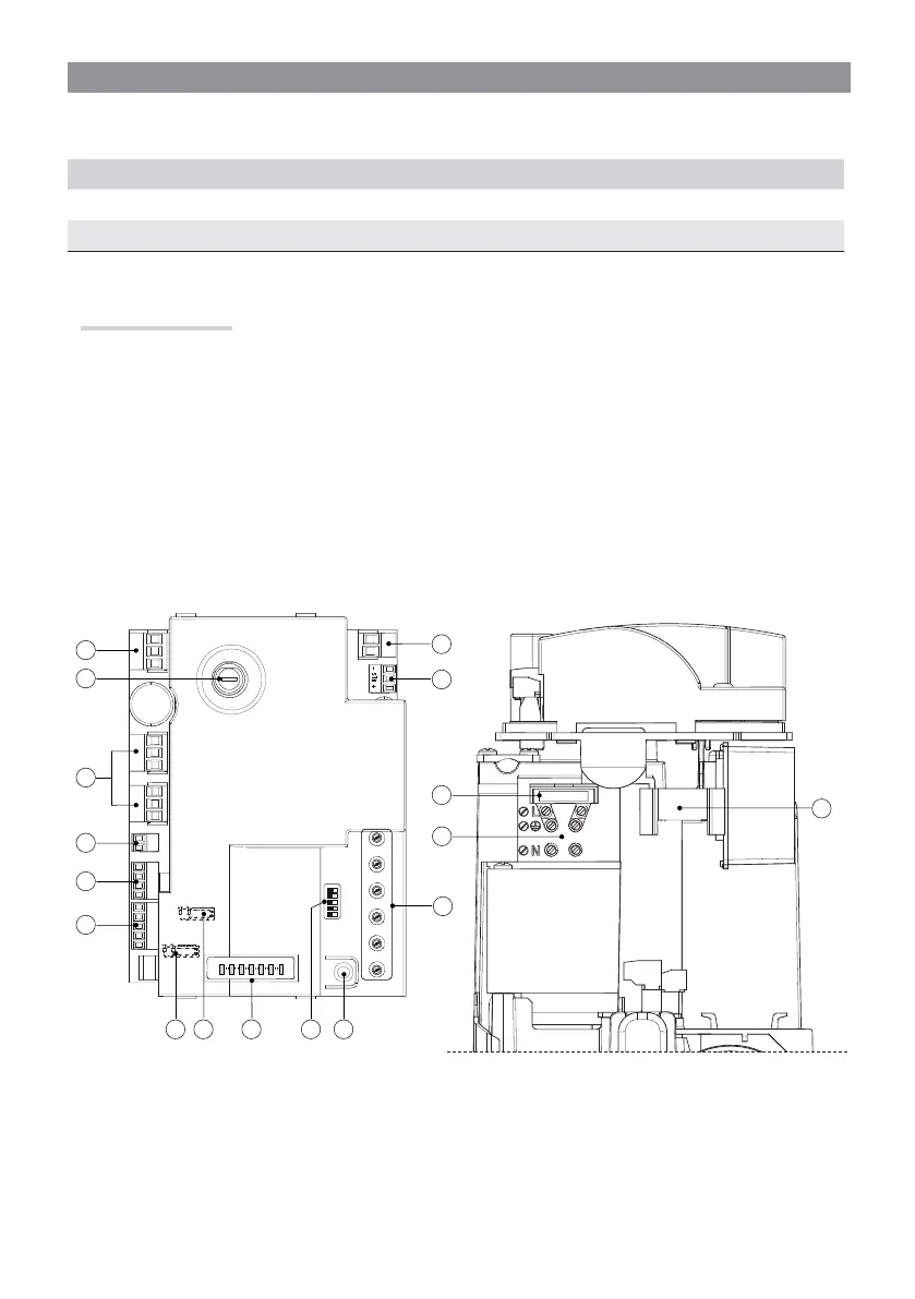 Page #46 background image