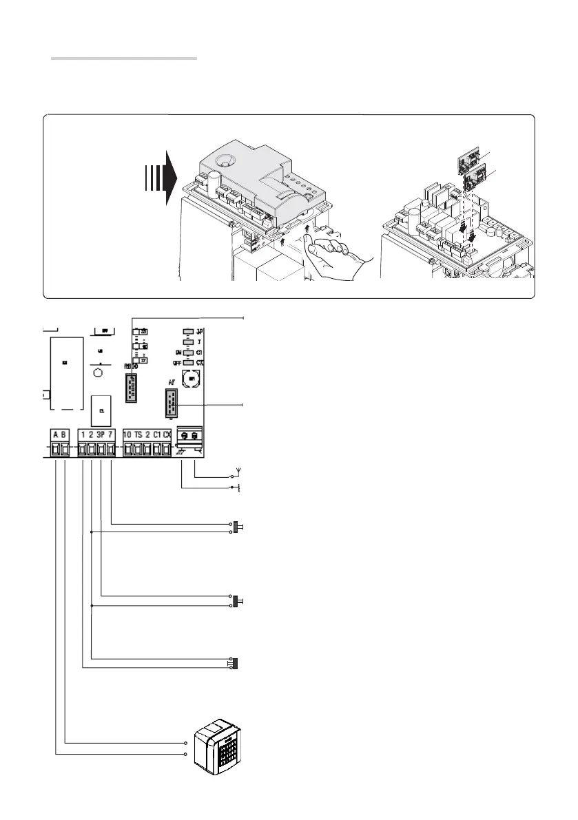 Page #48 background image