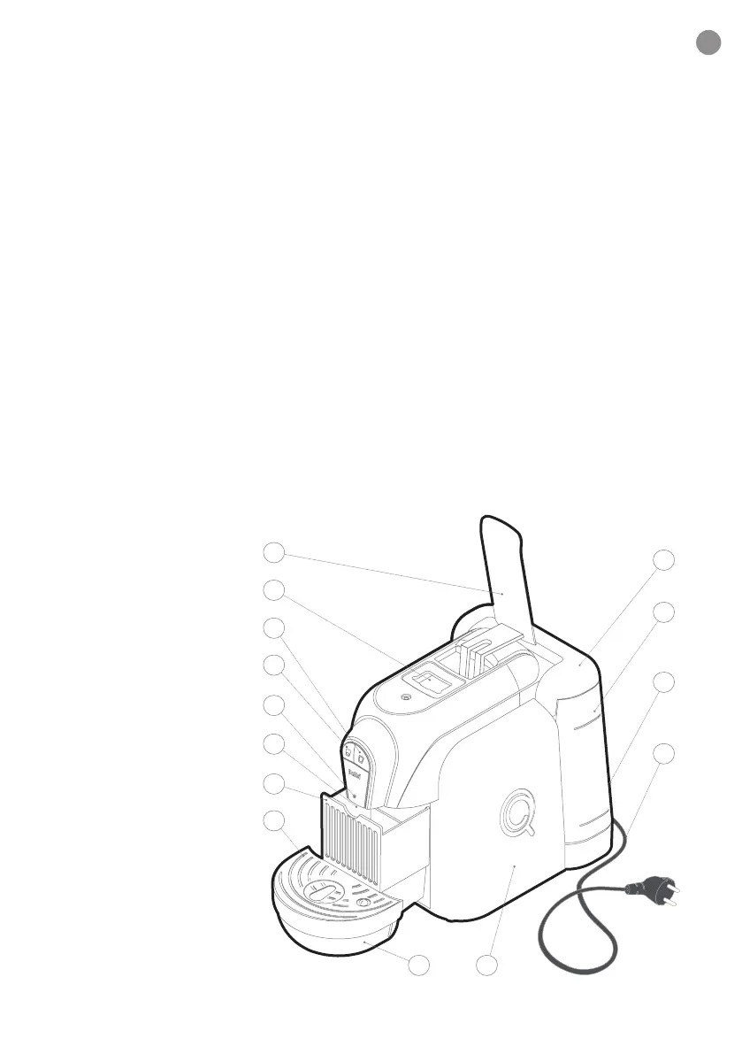 Page #31 background image