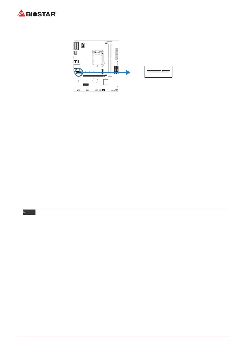 Page #16 background image