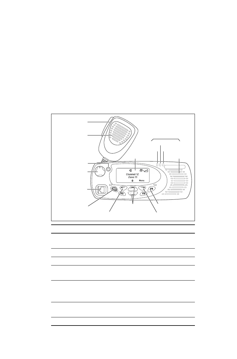 Page #17 background image