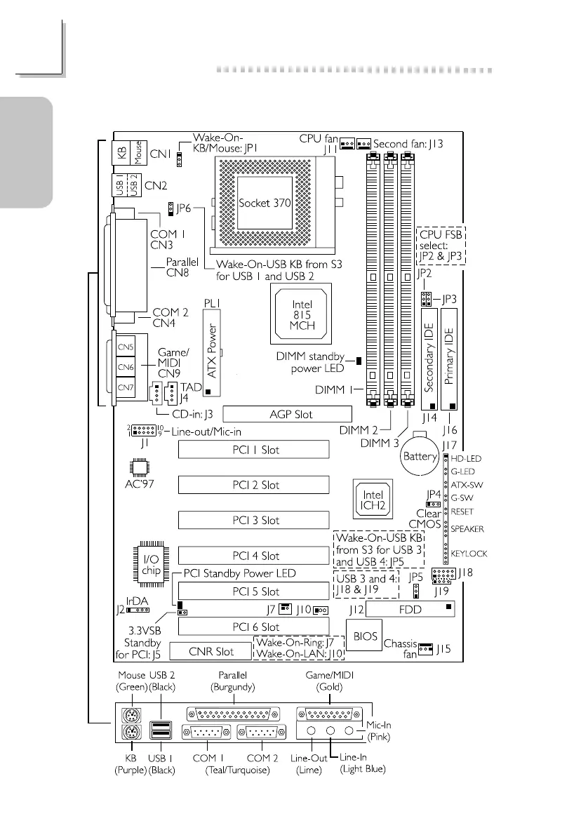 Page #6 background image