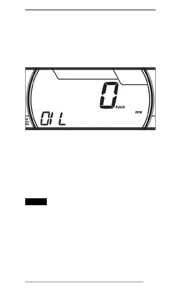 Page #219 background image