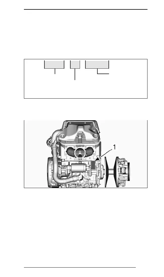 Page #223 background image