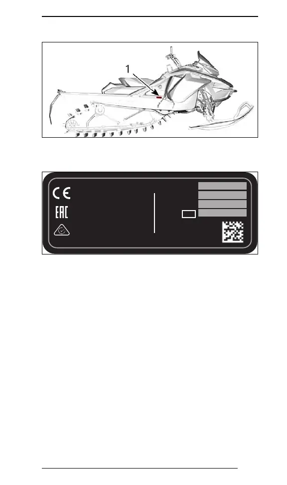Page #225 background image