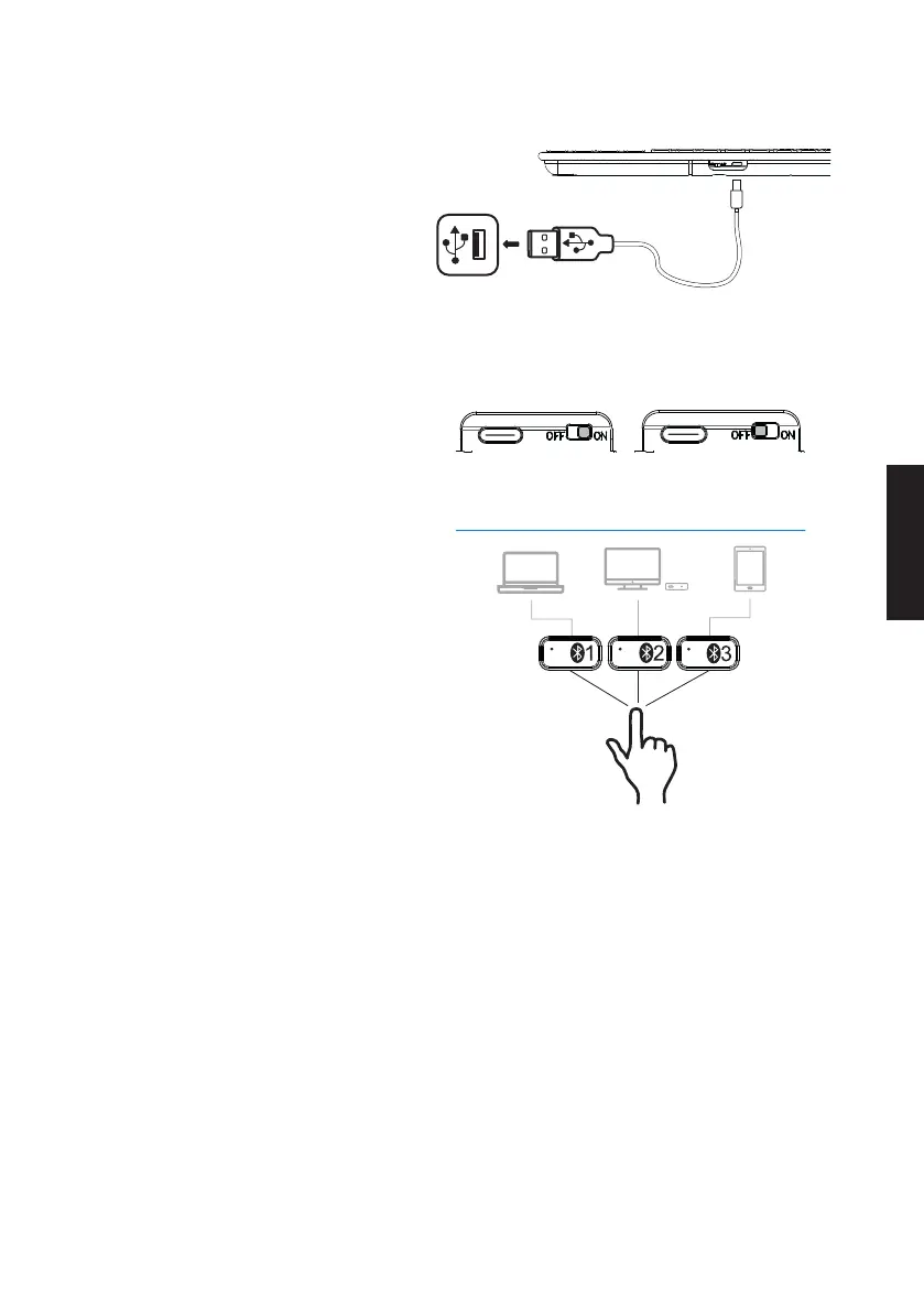 Page #19 background image