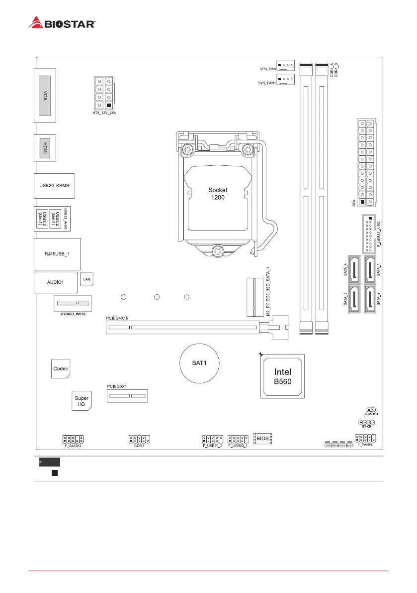 Page #6 background image