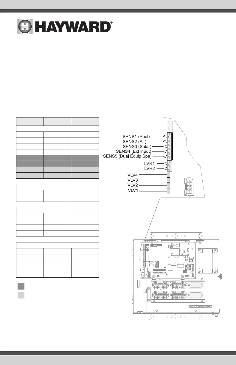 Page #19 background image