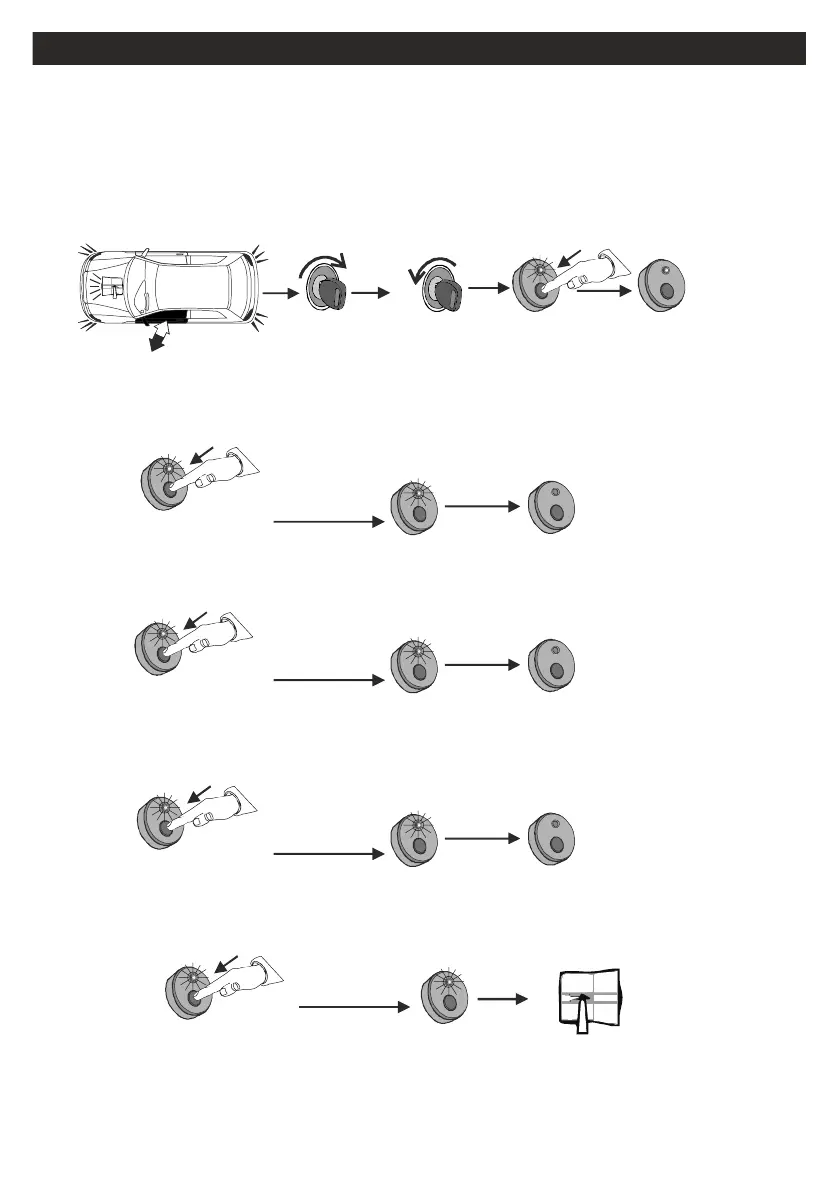 Page #61 background image