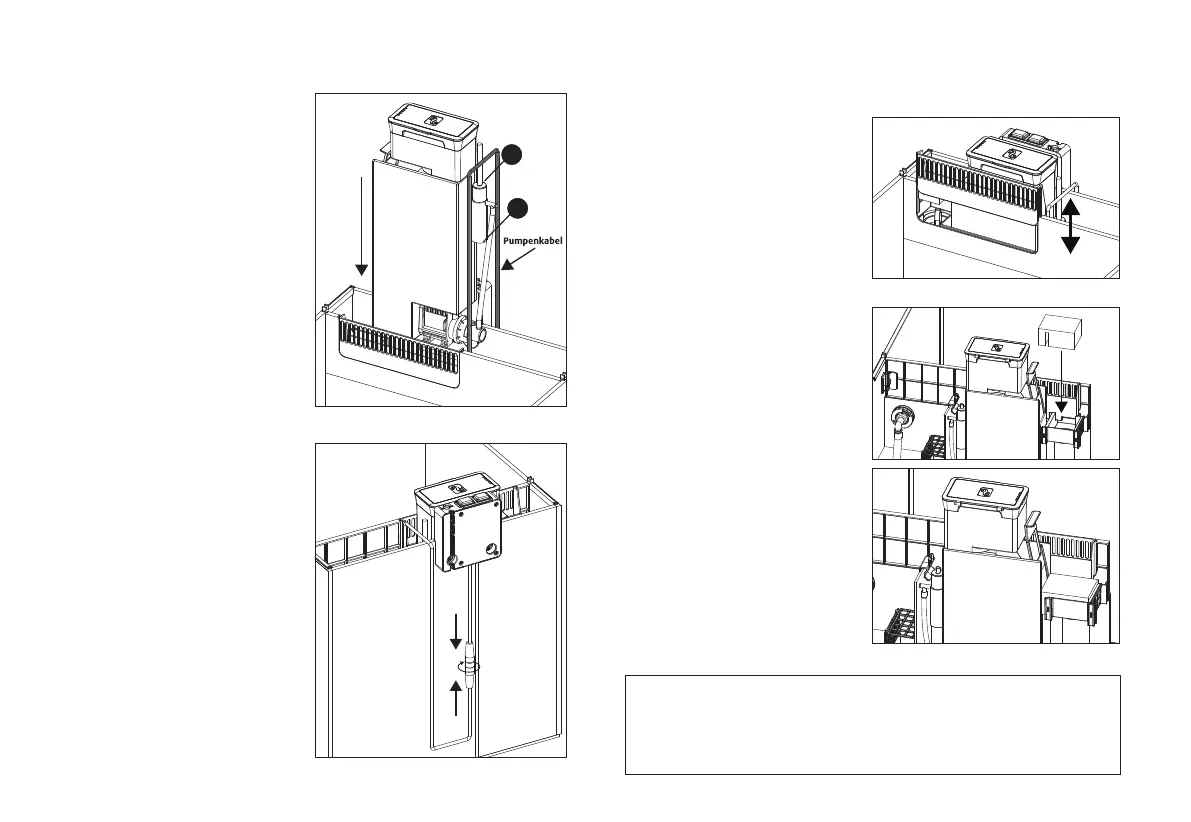 Page #46 background image