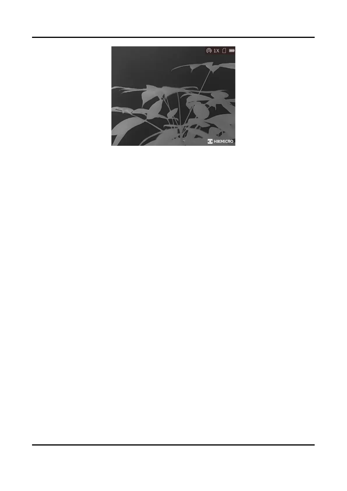 Page #25 background image
