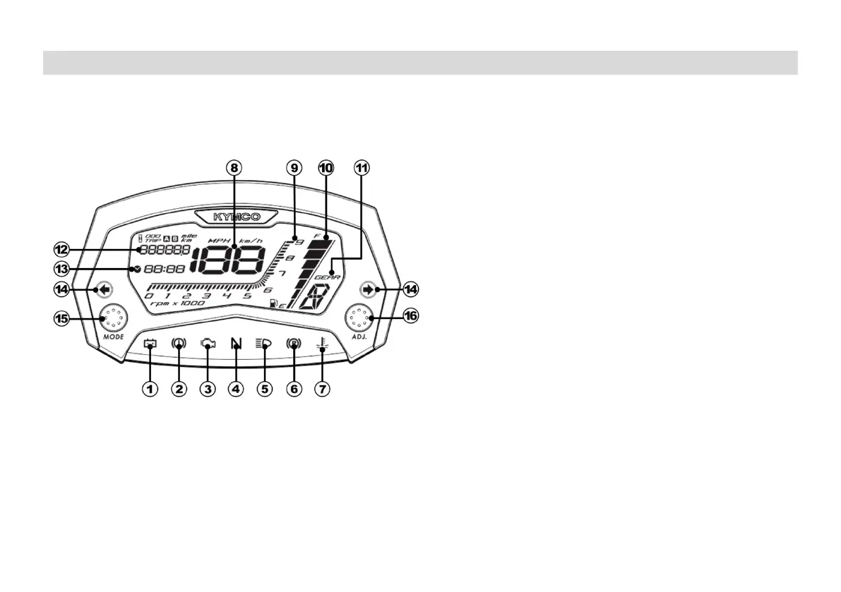 Page #19 background image