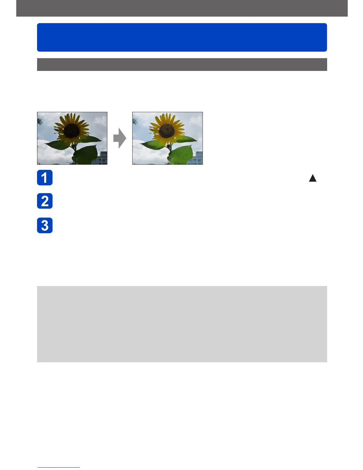 Page #169 background image