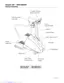 Preview: General Assembly