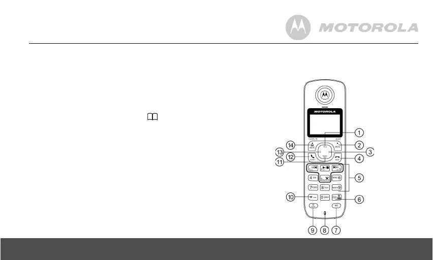 Page #9 background image