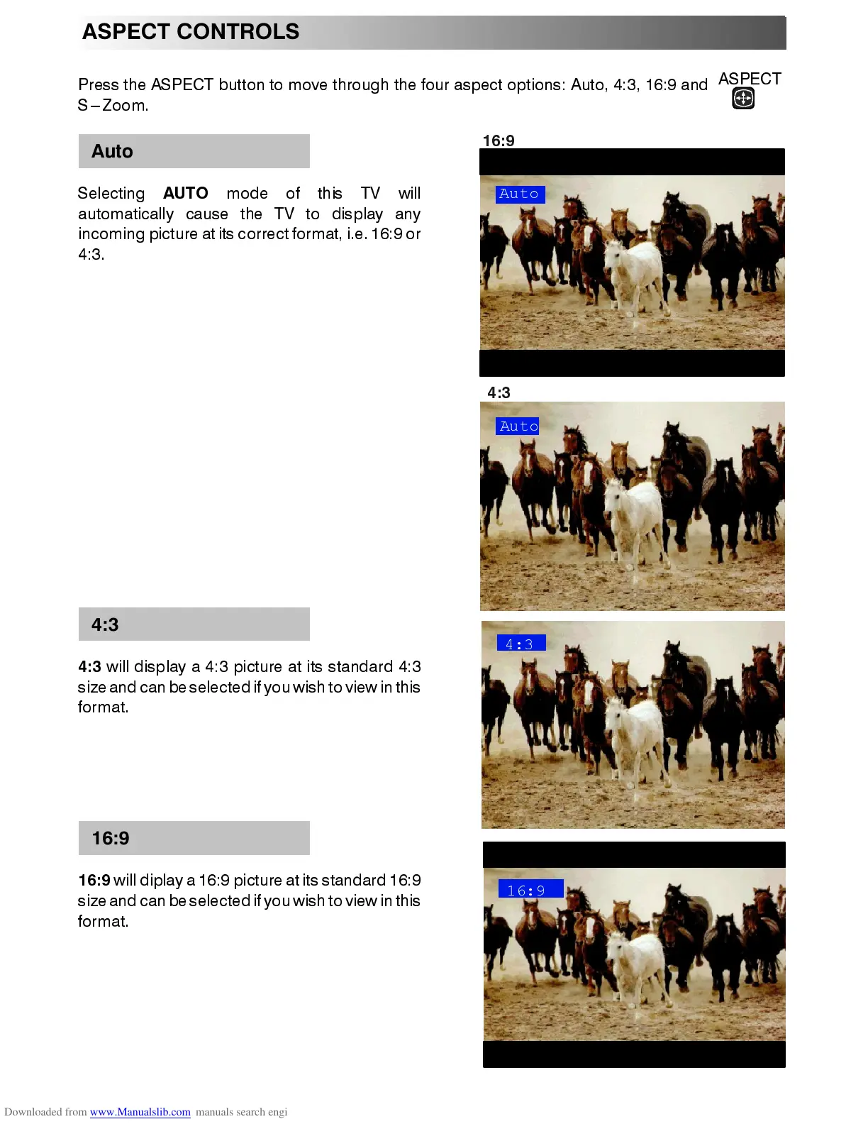 Page #10 background image