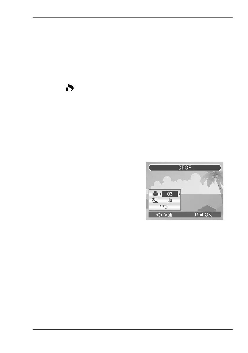 Page #203 background image