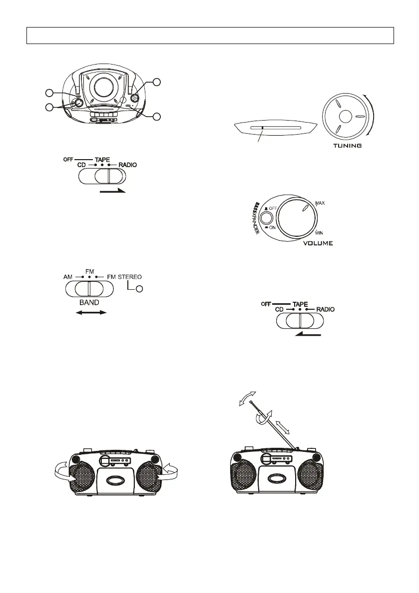 Page #8 background image