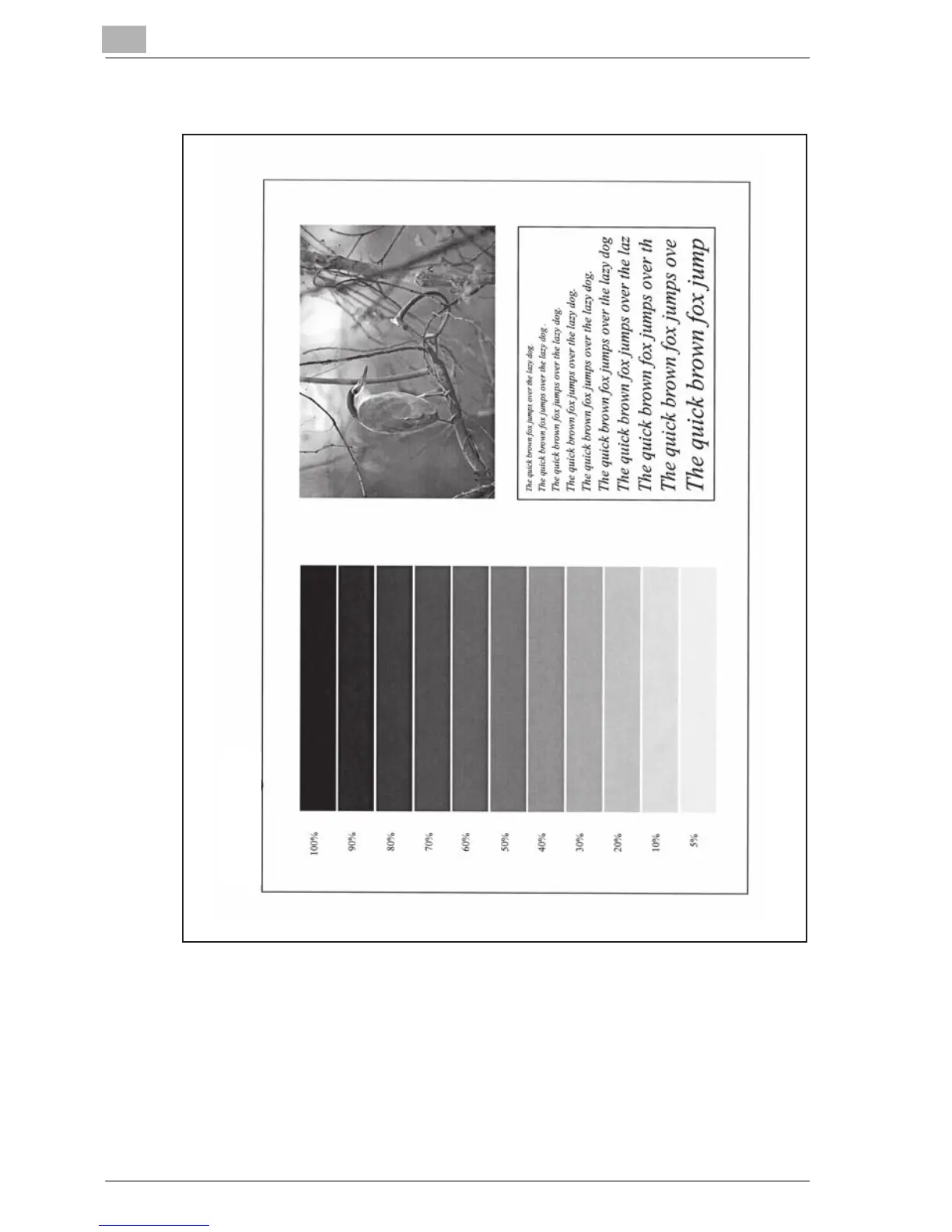 Page #358 background image