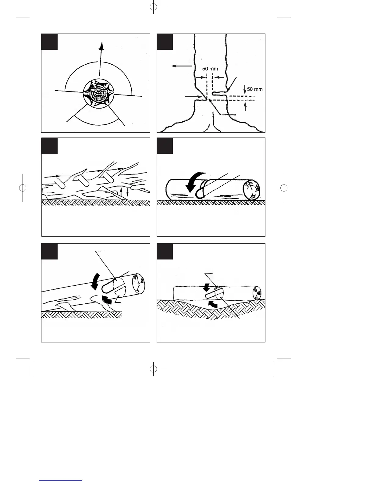 Page #6 background image