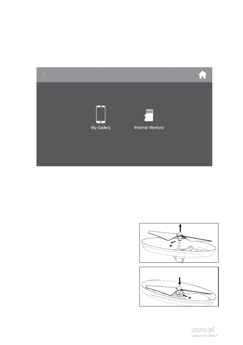 Page #21 background image