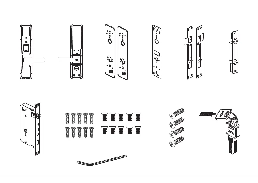 Page #4 background image