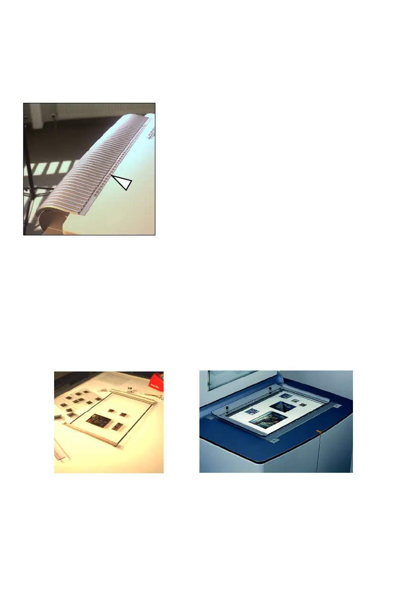 Page #42 background image