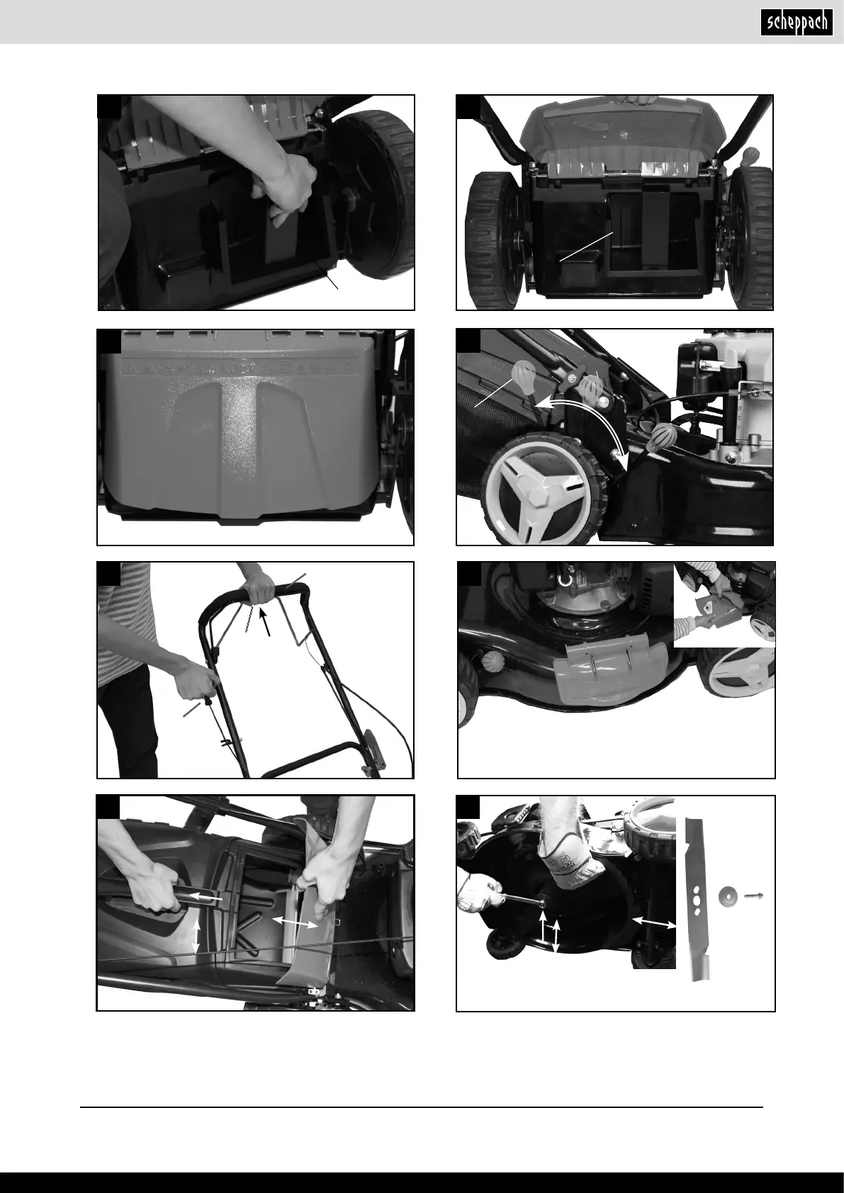 Page #5 background image