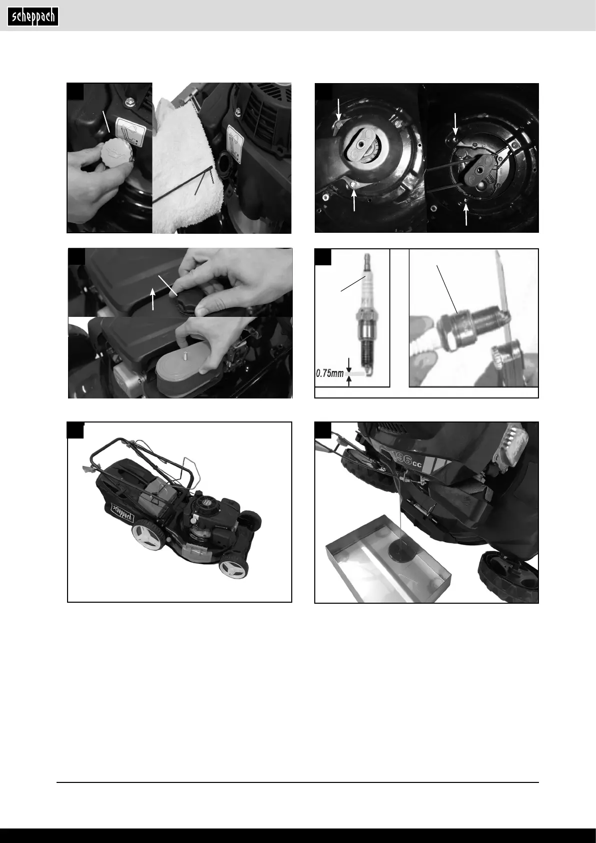 Page #6 background image