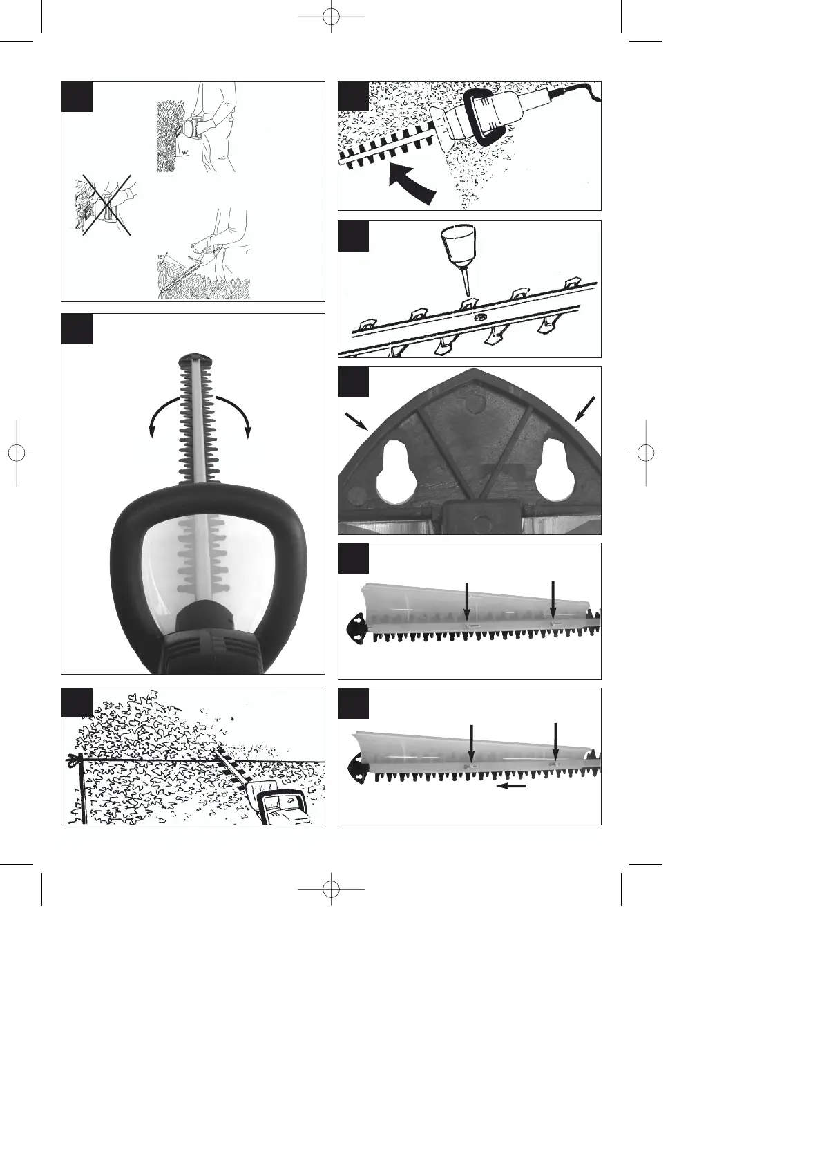 Page #6 background image