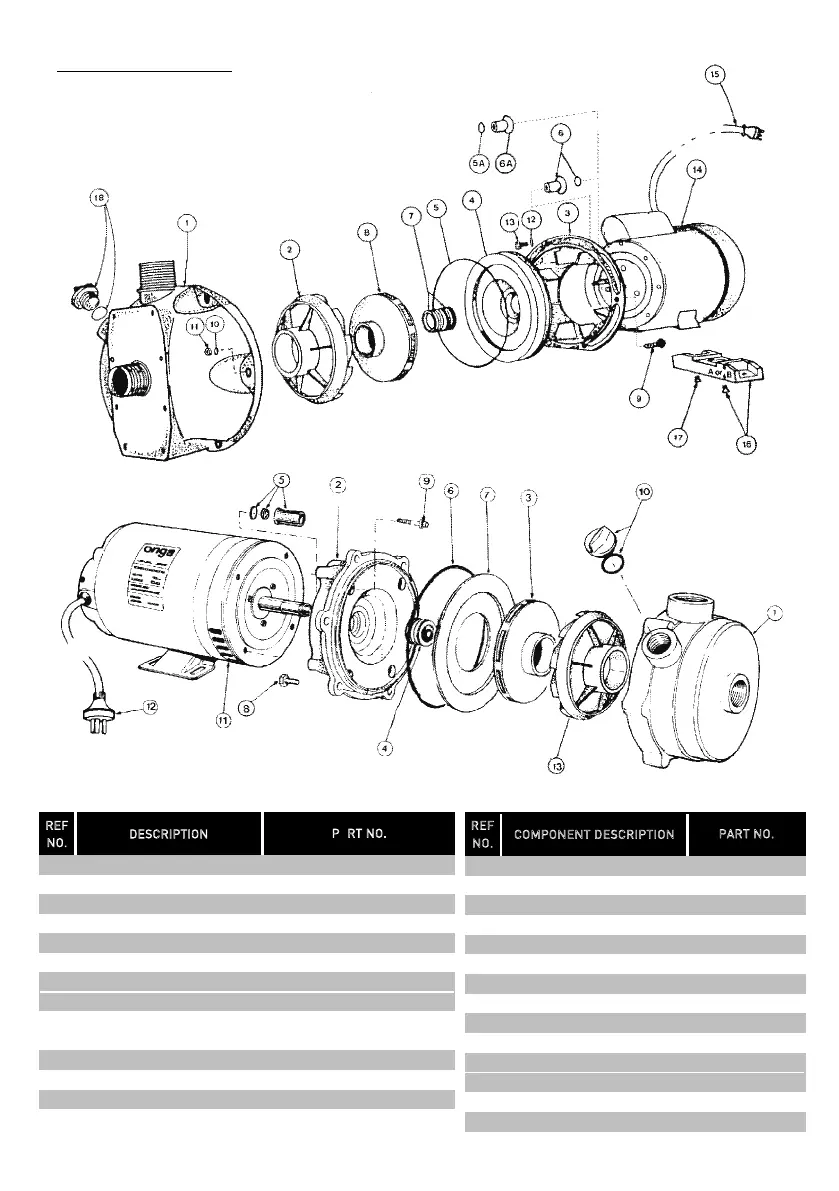 Page #13 background image