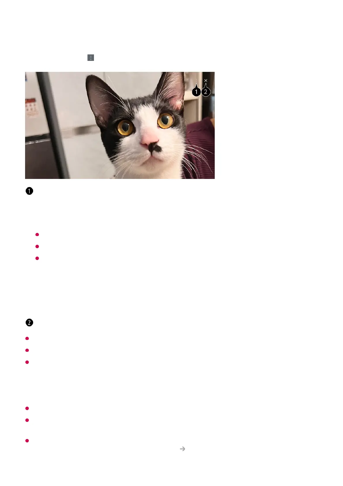 Page #49 background image