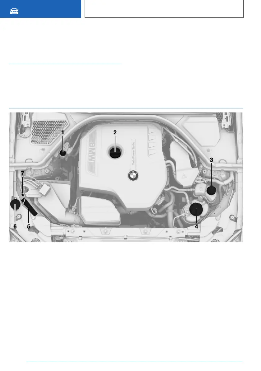 Page #320 background image