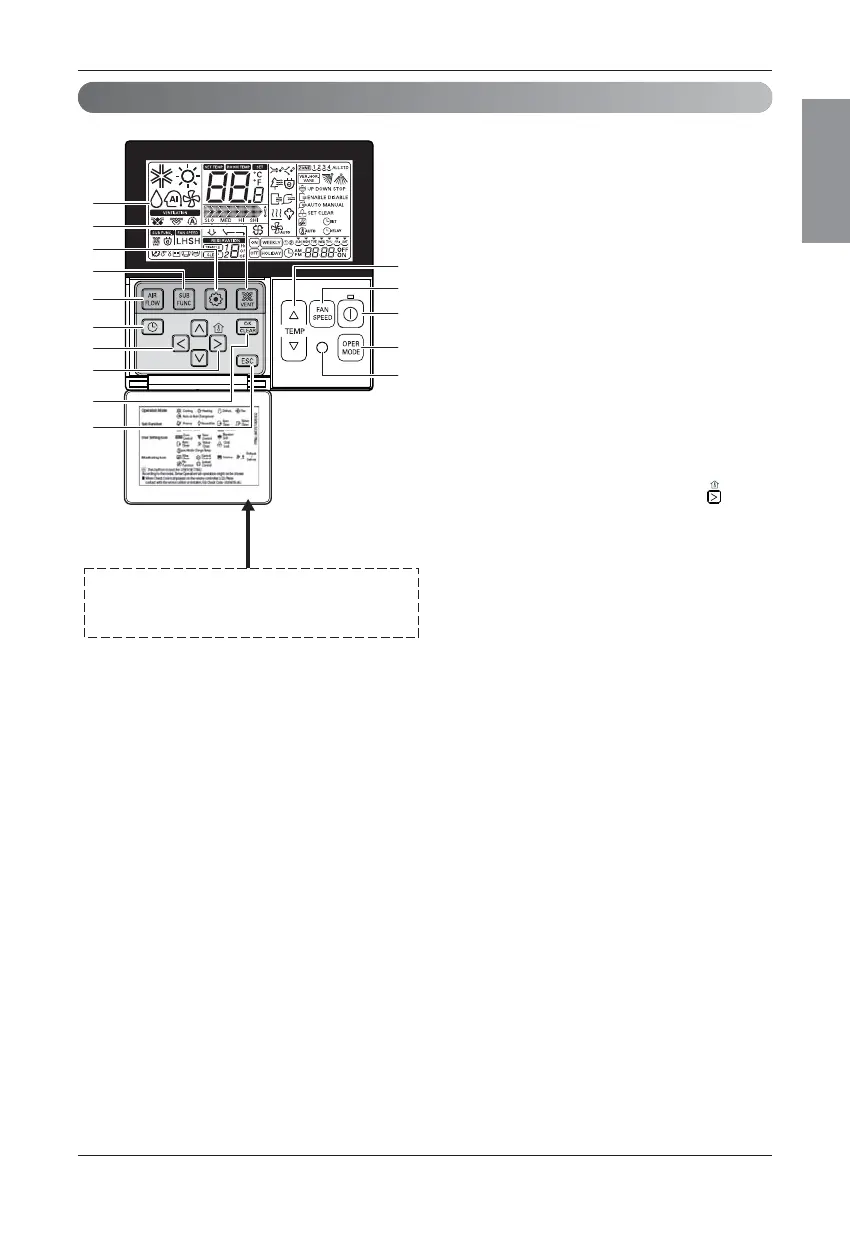 Page #15 background image